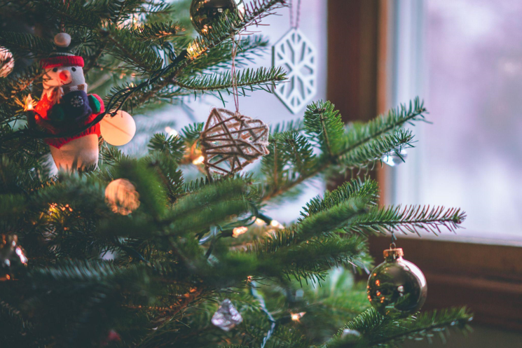 Finding the Perfect Cheap Christmas Trees